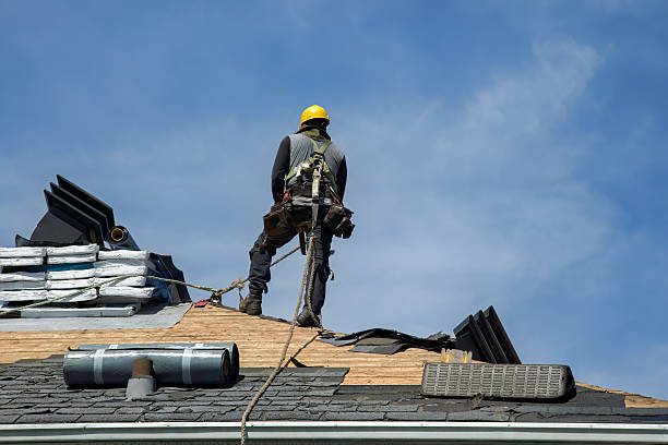 Professional Roof Replacement technician working in Wishek, ND